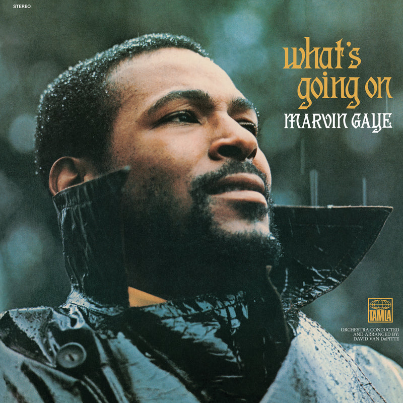 Crosley Record Storage Crate & Marvin Gaye What&