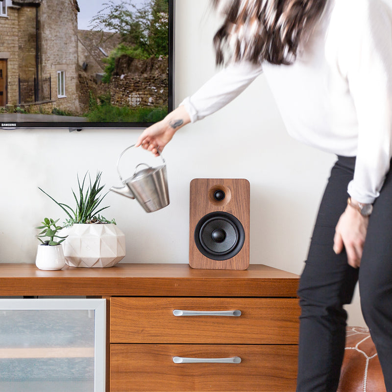 Kanto YU6 200W Powered Bookshelf Speakers with Bluetooth® and Phono Preamp - Pair, Walnut with S6 Black Stand Bundle